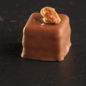 Fjær Konfekt - Bankettkaker - Sjokolade nøtt