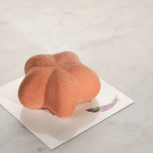 Fjær Konfekt - Porsjonskaker - Spacer Star